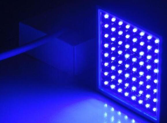 UV-LEDЧ皢zи(zh)¹ڲ
