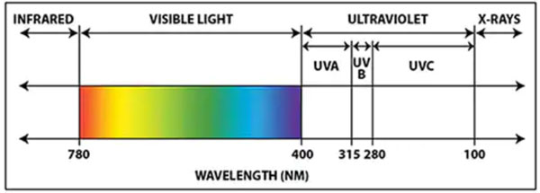 UV⾀(xin)ݗc̎